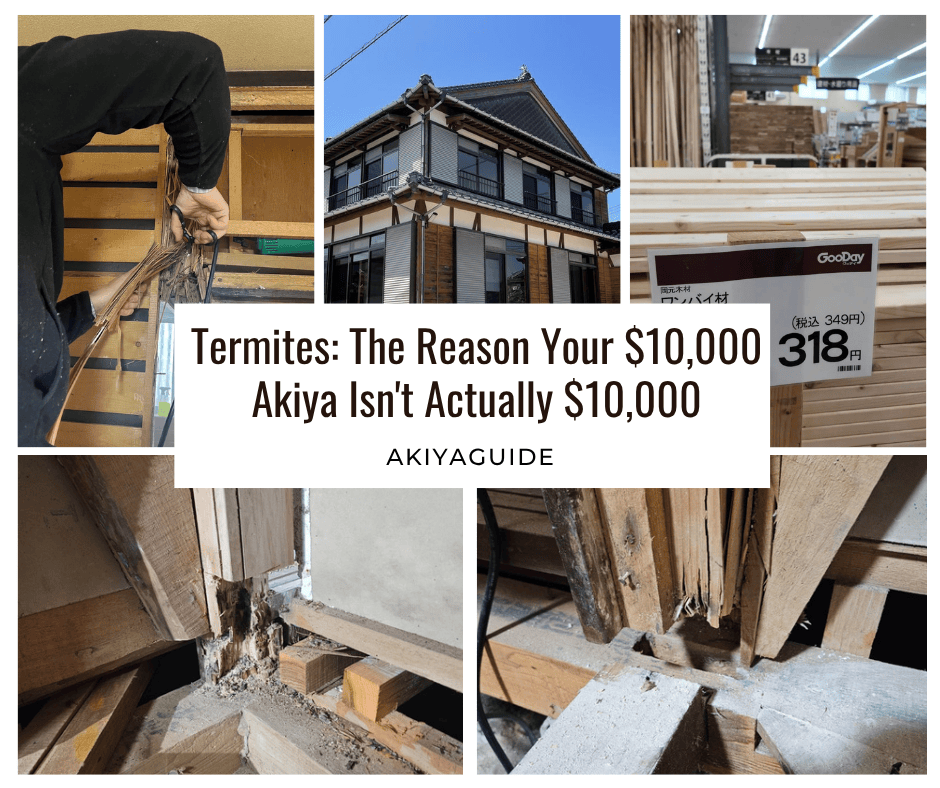 Termites: The Reason Your $10,000 Akiya Isn’t Actually&nbsp;$10,000